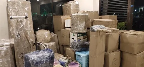 Domestic Shifting